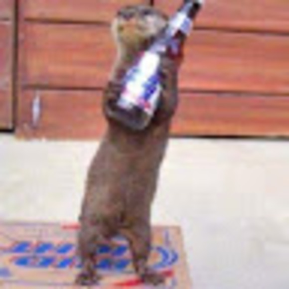 Meet your Posher, Moises - Picture 1 of 1